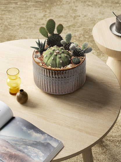 LE TAUCI Succulent Pots, 6.5+8 Inch Ceramic Pots for Plants Indoor, Shallow Round Succulent Planters with Drainage Hole, Set of 2, Reactive Glaze Black
