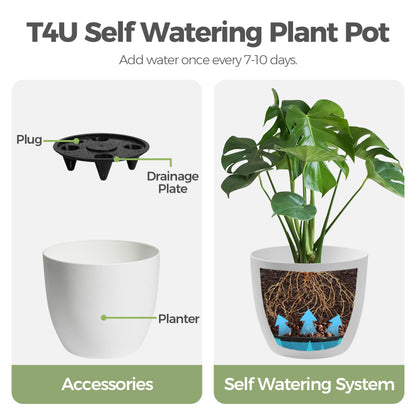 T4U 7 Inch Self Watering Planters Plastic Plant Pot, Modern Decorative Flower Pot/Window Box for All House Plants, Flowers, Herbs, African Violets, Succulents - White, Set of 6