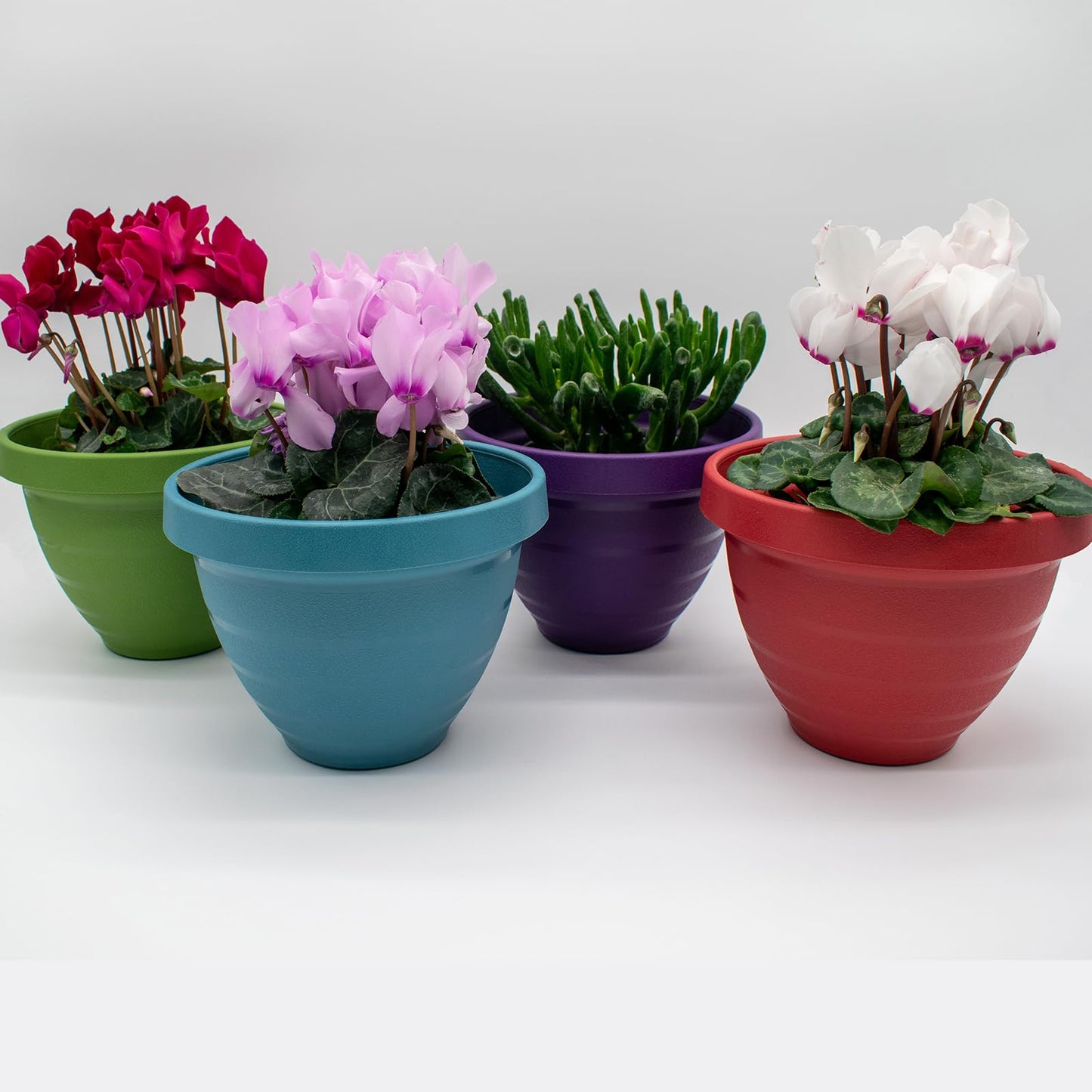 The HC Companies Rings Flower Planter - Self Watering Plant Pots for Herbs & More - Round Lightweight Outdoor & Indoor Planter (10" Dark Green, Pack of 1)