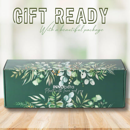 InnoBeta House Warming Gifts Succulent Plant Pots 3pcs, Gifts for House Warming, Planter Pot with Bamboo Tray for New Home, Plants NOT Included