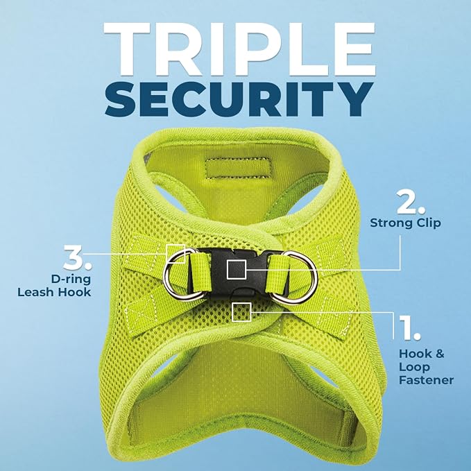 Best Pet Supplies Voyager Step-in Air All Weather Mesh Harness and Reflective Dog 5ft Leash Combo with Neoprene Handle, for Small, Medium and Large Breed Puppies - Lime Green, Large