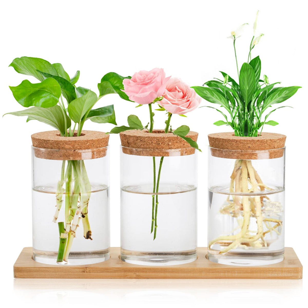 Lawei 3 Pcs Plant Terrarium Propagation Stations, Tabletop Glass Water Planting Glass Vase with Wooden Tray, Clear Jars Containers for Grow Hydroponic Plants Home Office Decoration