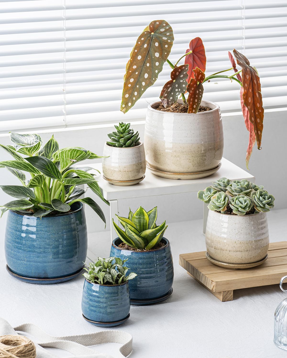 MISSYSSIM Ceramic Plant Pots with Drainage Holes and Saucers, Indoor Flower Pots for Plants Set of 3, 3.4+4.7+6.1 inch Cute Garden Pots Set for Succulent and Money Tree, Gift for Housewarmings, Blue