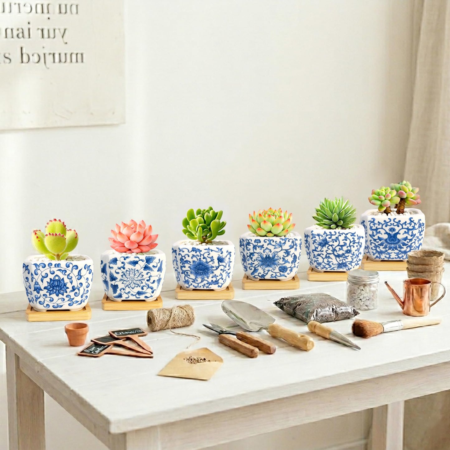 Succulent Pots - 3.1" Succulent Planters with Drainage and Bamboo Trays, Ceramic Flower Pots for Indoor Plants, Small Succulent Pots for Cactus, Home Office Desk Decor, Set of 6
