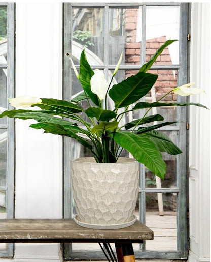 Hollyone White Ceramic Pot for Plants Flowers Ceramic Planter with Drainage Hole and Saucers 8 + 6.5 Inch Set of 2 Glaze Round Flower Plant Pot for Indoor Outdoor Large Succulent Orchid Flower Pot