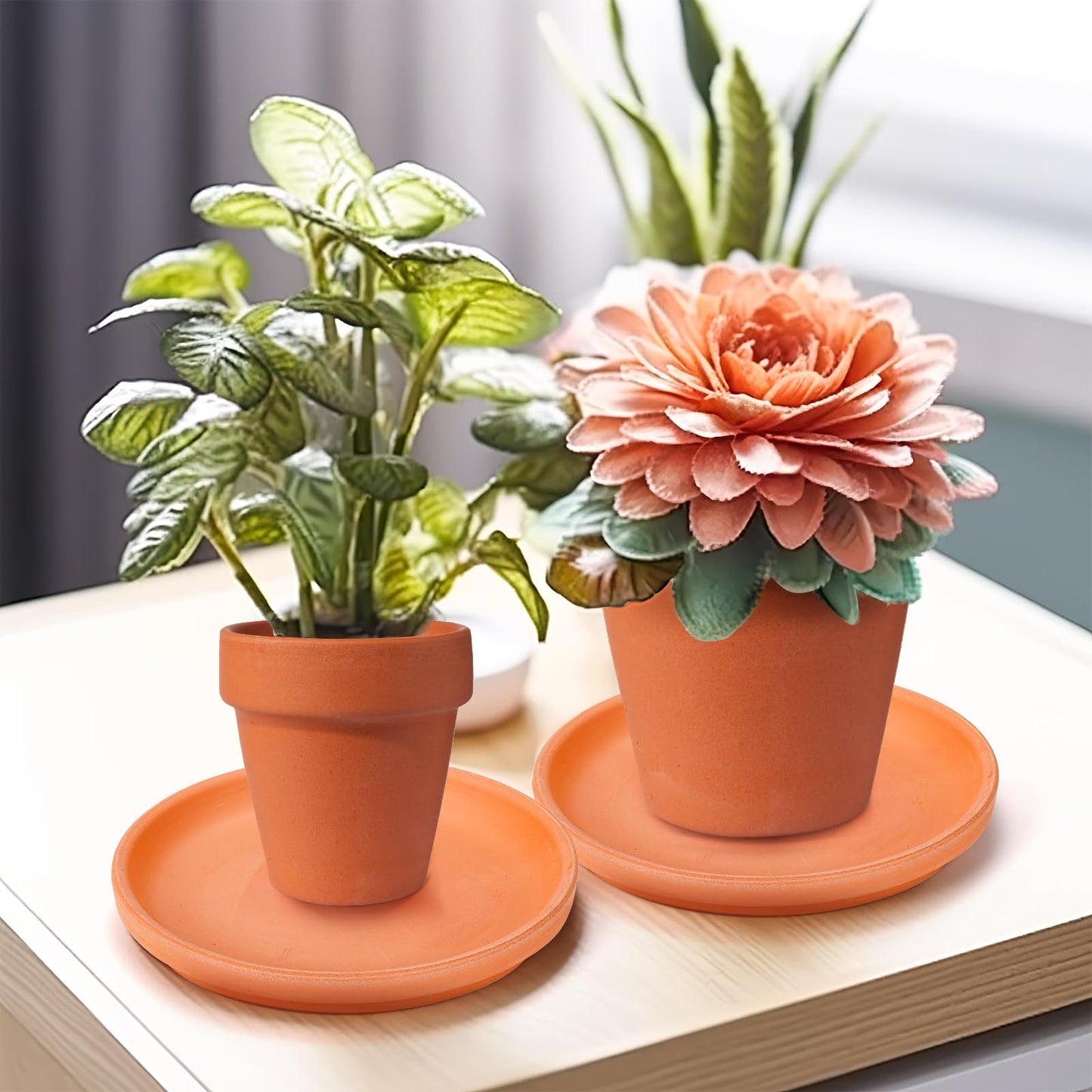 Suwimut 10 Pack Terracotta Pot Plant Saucer, 6 Inch Round Terra Cotta Planter Saucers for 5 Inch 5.5 Inch 6 Inch Flower Pot with Drainage Hole, Small Clay Planter Drip Trays for Indoor, Outdoor Plants