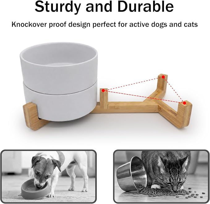 MateeyLife Ceramic Dog and Cat Bowls with Stand, 2-Pack Food and Water Bowl Set - Non-Slip Pet Bowls for Cats,Puppies and Small Dogs, 13.5OZ（White）