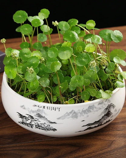 JWShang Lotus Bowl Planter for Planting in Water Indoors, Round Ceramic Lotus Flower Pot, Outdooor Garden Decorative Leak-Proof Bonsai Bowl for Lotus Seeds, Water Lily, Succulents (Green)