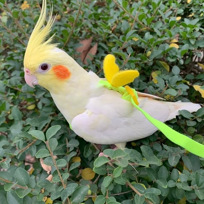 Pet Parrot Bird Harness Leash Adjustable Bird Flying Harness Traction Rope with Cute for Parrots Budgerigar Lovebird Cockatiel Mynah Outdoor Training Toy (Mynah,Yellow)