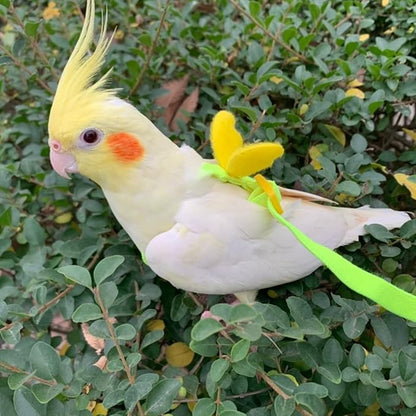 Pet Parrot Bird Harness Leash Adjustable Bird Flying Harness Traction Rope with Cute for Parrots Budgerigar Lovebird Cockatiel Mynah Outdoor Training Toy (Cockatiel/Green-cheeked Conure,Yellow)