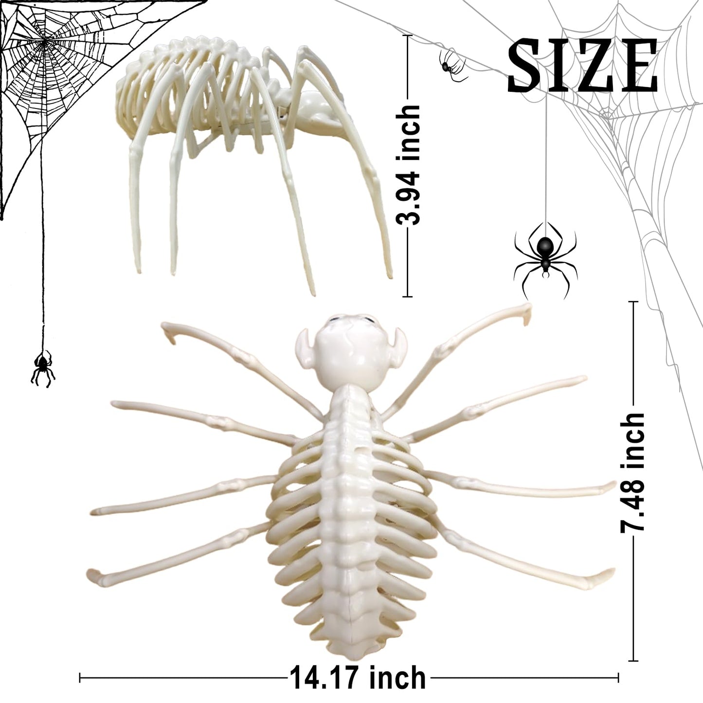 mogenda Large Realistic Spider Skeleton,Horrible Spider Bone,Vivid Spider Skeleton Model Halloween Decorations for Yard Garden Lawn,Haunted House Props(Spider-1p)