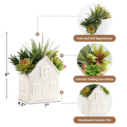 Hessessl Succulents Plants Artificial in Ceramic Pot, Small Fake Plants for Bathroom Decor Bedroom Aesthetic Living Room Shelf Office Shelf Table Decor