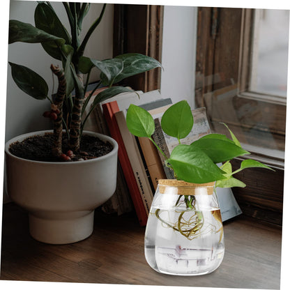 MAGICLULU 2pcs Glass Plant Terrarium Holder for Desktop Decor Moss Plant Bottle for Indoor Greenery Transparent Watering for