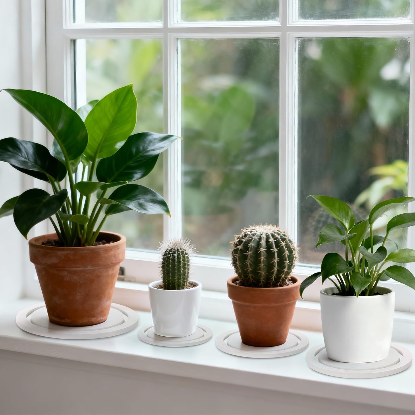 Johamoo Plant Saucer for Indoors, 2 Pack 6 Inch, Instantly Dry Diatomaceous Earth Plant Trays, Stone Plant Pot Saucers Drip & Drainage Tray, White