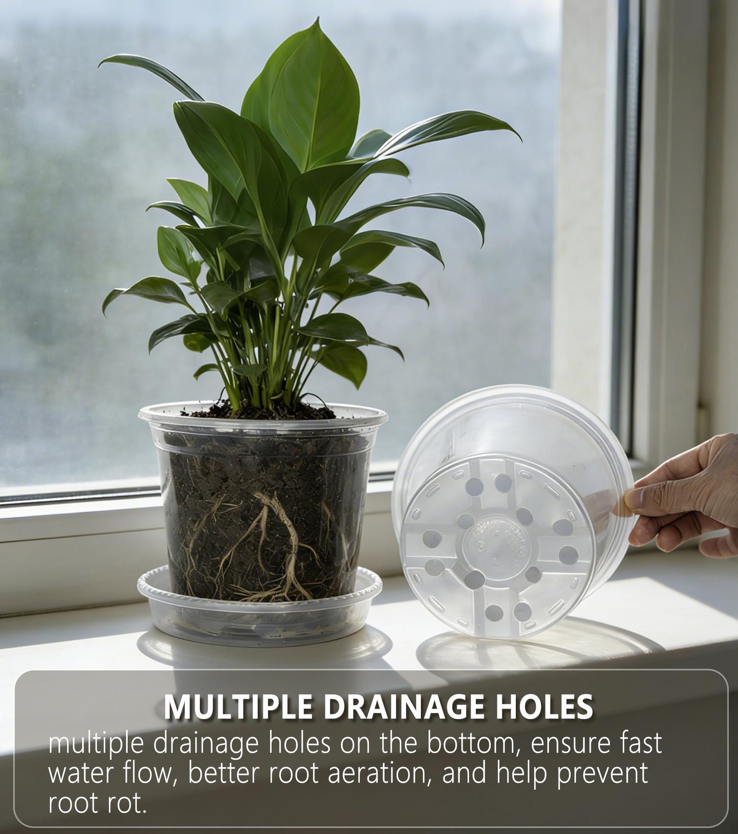 RZOIKZOI 30-Pack Clear Nursery Pots with Drainage Holes (3.5/4/5 Inch) – Transparent Plastic Plant Pots with 30 Labels, Assorted Sizes for Seed Starting, Succulents, Indoor and Outdoor Use