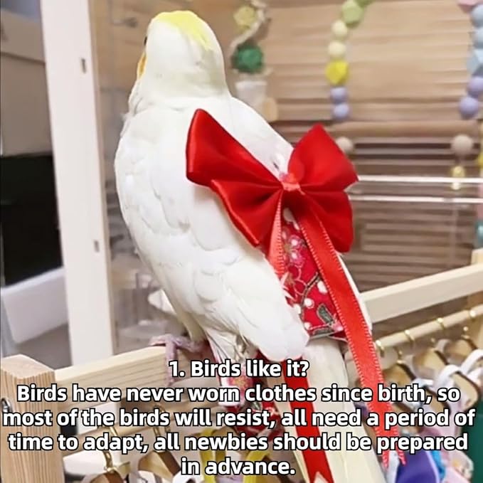 Bird Diaper Parrot Washable Diapers, Parrot Flight Suit, Reusable Nappies for Parakeet Cockatiel Mini Macaw Budgie Conure Lovebird (Black,Pigeon)