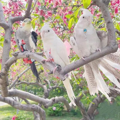 Bird Diaper Parrot Washable Diapers, Parrot Flight Suit, Reusable Nappies for Parakeet Cockatiel Mini Macaw Budgie Conure Lovebird (Purple,XL)