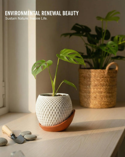 CODIAO Small Plant Pots Indoor with Drainage & Saucer (4 Inch) - Cute 3D Printed Geometric Planter - Modern White Pot for Succulents Cactus - Unique Desk Decor & Gardening Gift (Terra Cotta Base)