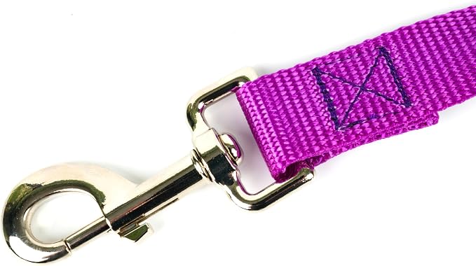 Country Brook Petz - Deluxe Nylon Dog Collar and Leash - 10+ Cool Colors (3/4 Inch, Small, Bright Purple)