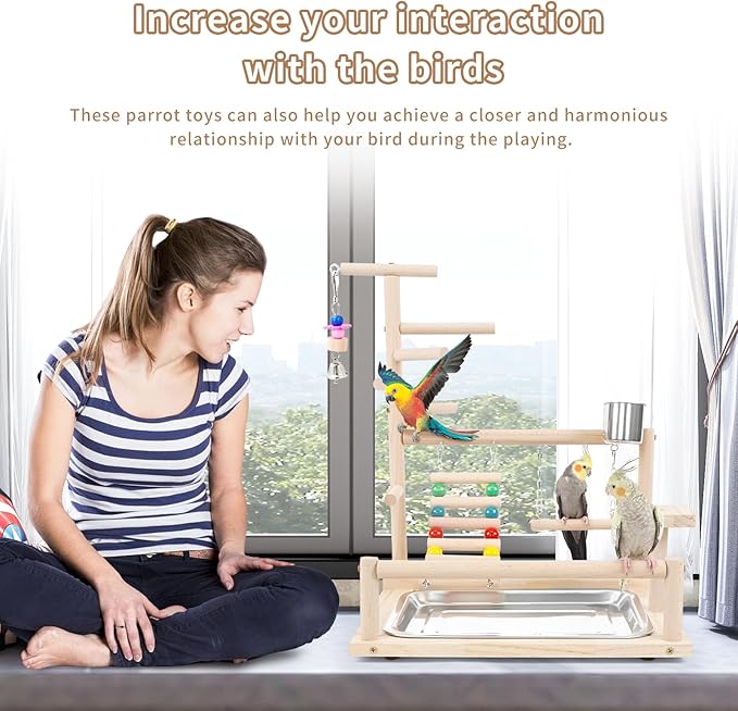 Bird Playstand Cockatiels Playground Perch Stand Parrot Play Gym for Parakeets Conures Parrotlets and Finches, Easy Assembly Includes Colorful Toys and Perch 1Ladder with Platform