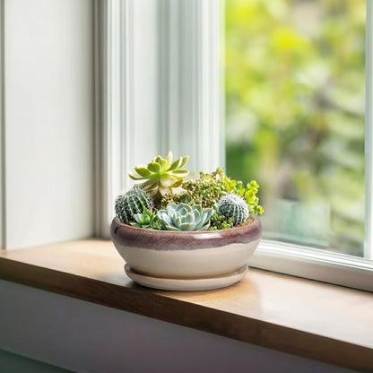 SQOWL Small Bonsai Pots - 6 Inch Ceramic Plant Pots for Succulents, Shallow Planter with Drainage Hole and Saucer, Round Planters for Indoor Outdoor Cactus Plants, House Decor, Birthday Gifts, Beige