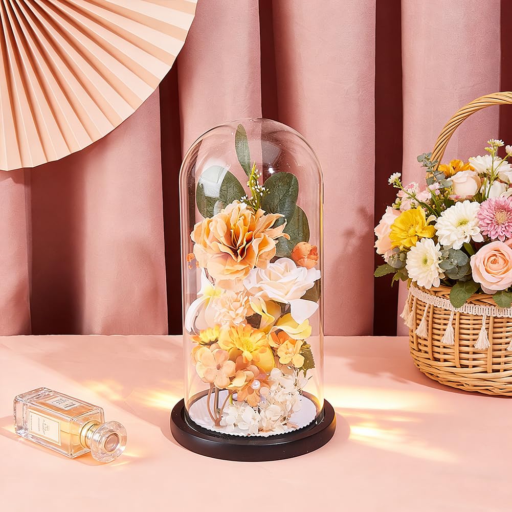 PH PandaHall Glass Cloche Display Dome 5.6x10.9inch Wooden Base Bell Jar Cover Clear Terrarium Display Cloche Bottles Storage Case Decorative Centerpiece Stand for Plants Flower Succulent Home Decor