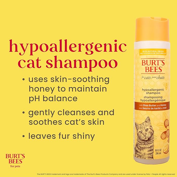 BURT'S BEES FOR PETS Hypoallergenic Cat Shampoo with Shea Butter and Honey, Gentle Formula for Indoor Cats with Dry or Sensitive Skin, pH Balanced, Fragrance-Free, 10 Fl Oz - 2 Pack