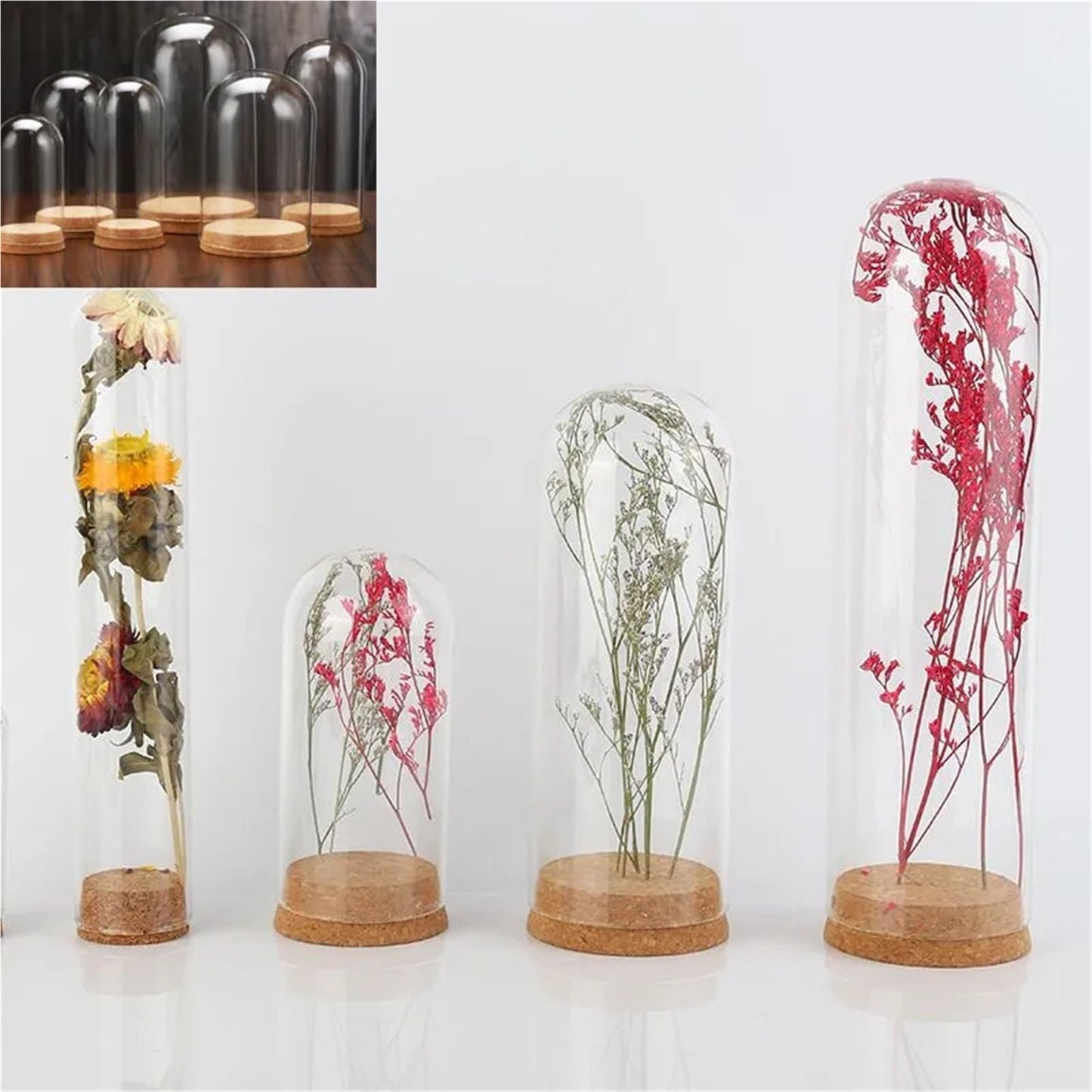10X Da30mm Glass Bottle Terrarium Jar Cork Base Dome Dust Cover DIY Specimen Succulent Plant Micro Landscape Flower Vase Display(30x80cm)