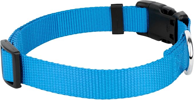Country Brook Petz - Everyday Nylon Dog Collar and Leash - 10+ Cool Colors (3/8 Inch, 3XS, Ice Blue)