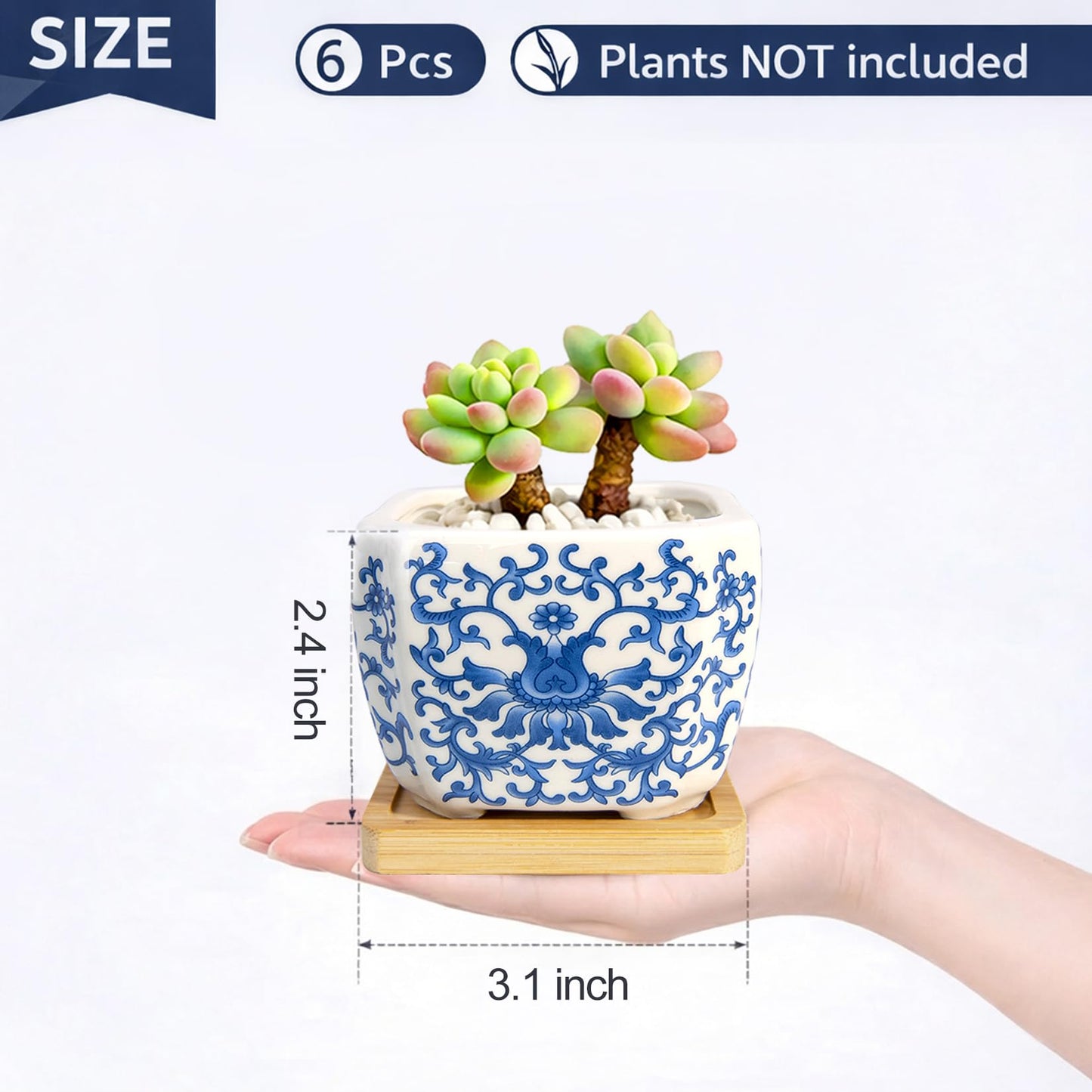 Succulent Pots - 3.1" Succulent Planters with Drainage and Bamboo Trays, Ceramic Flower Pots for Indoor Plants, Small Succulent Pots for Cactus, Home Office Desk Decor, Set of 6