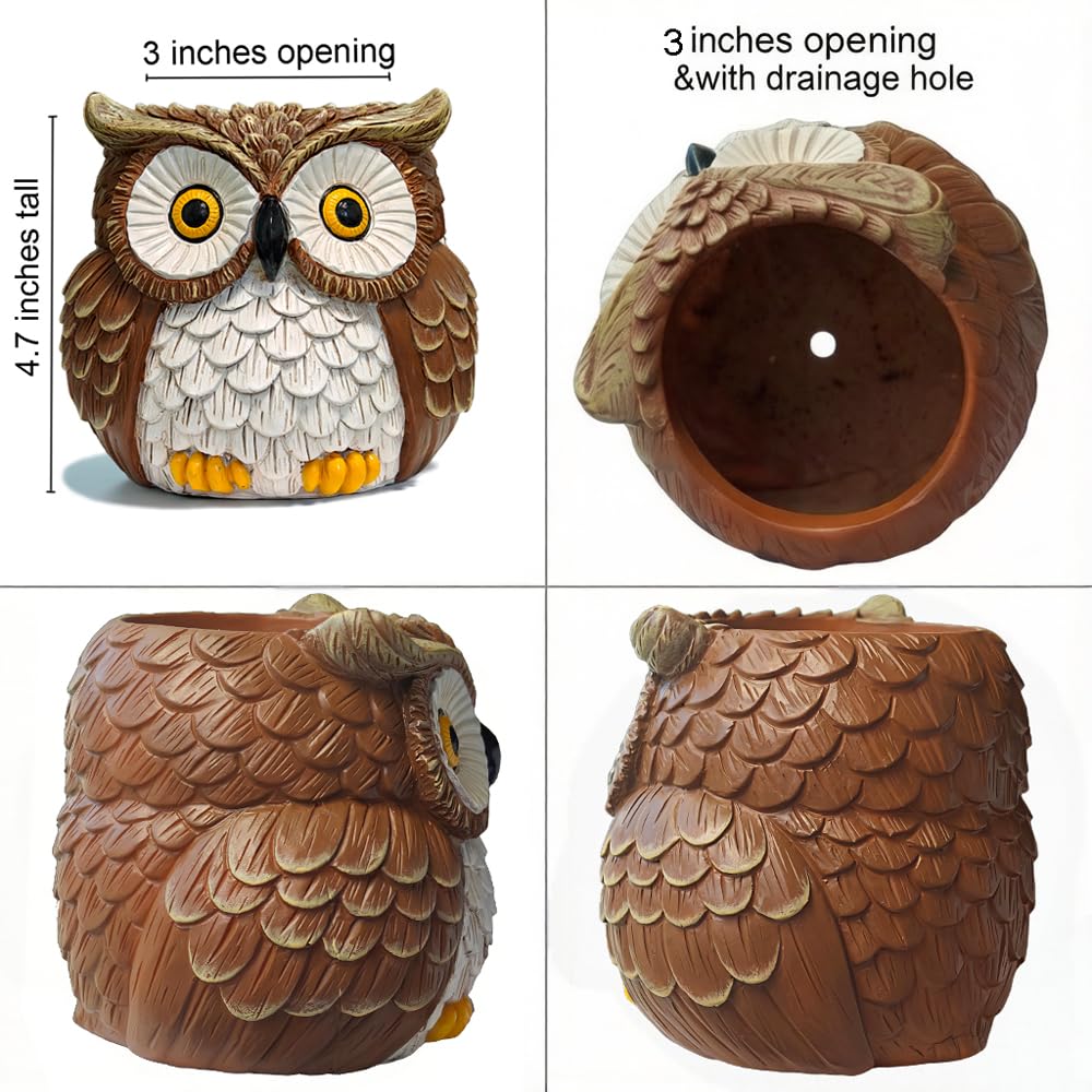 Hand Painted Owl Planter, Owl Plant Pots with Drainage, Garden Succulent Flower Pot for Small Plants, Forest Bird Figurines Home office Decor for Desk Table shelf Patio, Gift for Women Plant Lovers