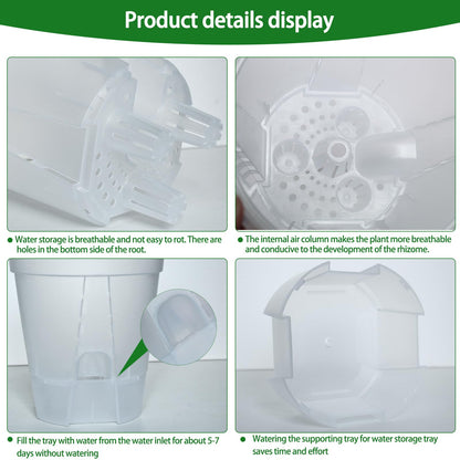Cdd's Path 6-Pack Bare Root Planter Self Watering Pots Set with Holes for Indoor/Outdoor Plants, 2 Each of 5, 6 and 7 Inch Planter Pot with Watering Hole/Reservoir and Air Pipes, Clear