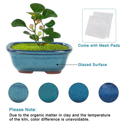 Bonsai Planter Succulent Mini Glazed Pots Value Set of 4, with 4 Soft Mesh Drainage Screens