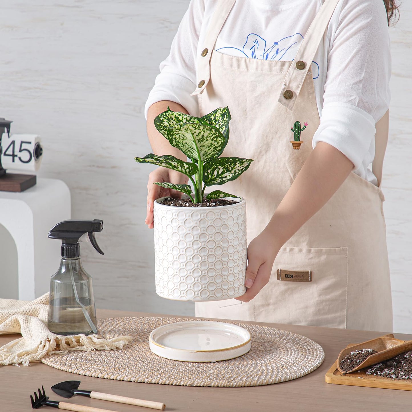 Chubacoo 6 Inch Plant Pot: Ceramic Planter with Drainage Hole & Saucer Indoor Outdoor Plants - Cylinder Round Flower Pot for Home Office - Modern Decorative - Small White