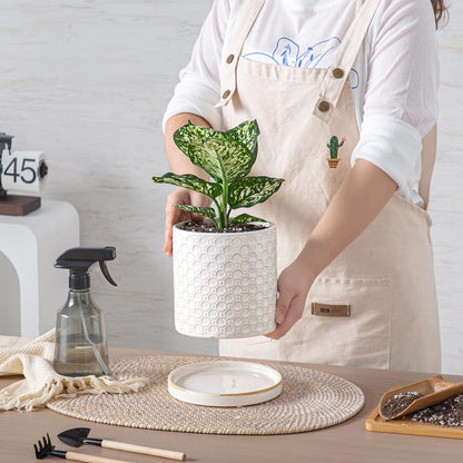 Chubacoo 6 Inch Plant Pot: Ceramic Planter with Drainage Hole & Saucer Indoor Outdoor Plants - Cylinder Round Flower Pot for Home Office - Modern Decorative - Small White