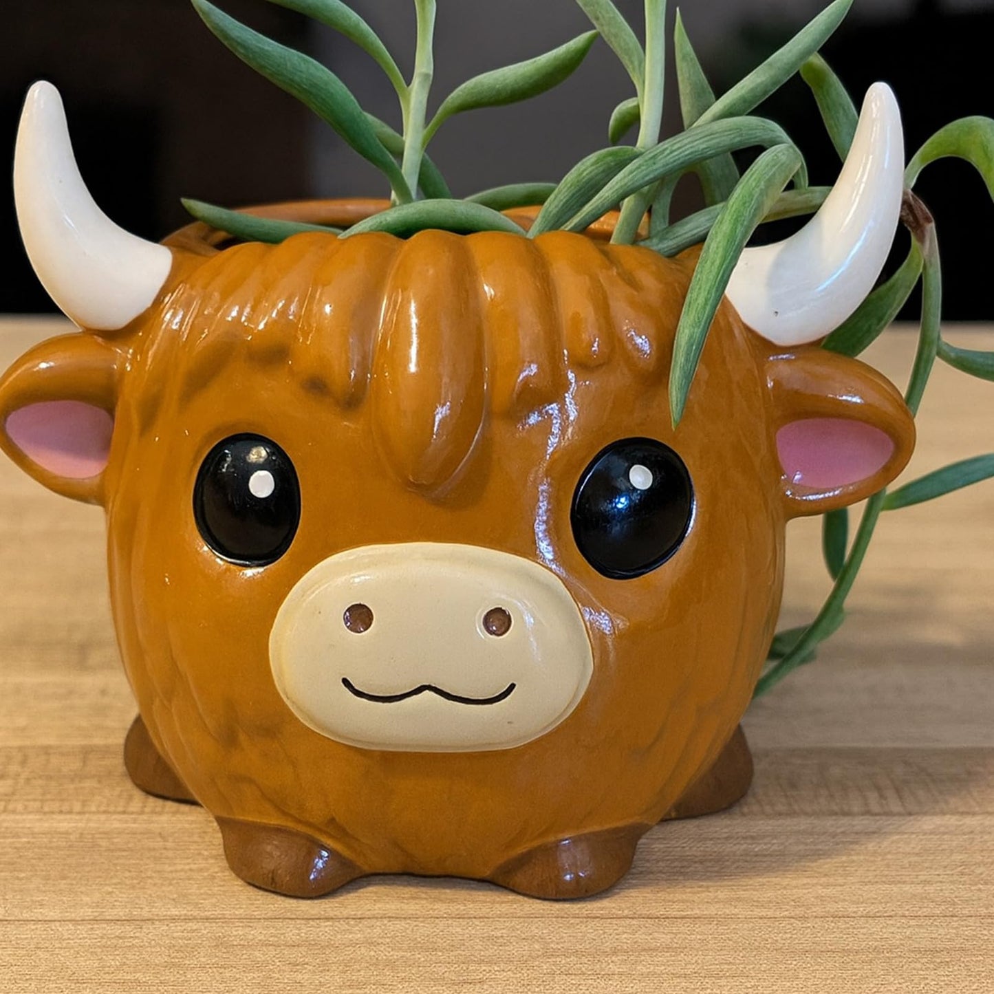 Meanplan 2 Pcs Highland Cow Succulent Planter with Drainage Cute Plant Pots Decor Ceramic Cactus Pot Animal Flower Container Holder Gifts for Cow Lovers Home Office Display Desk Decoration