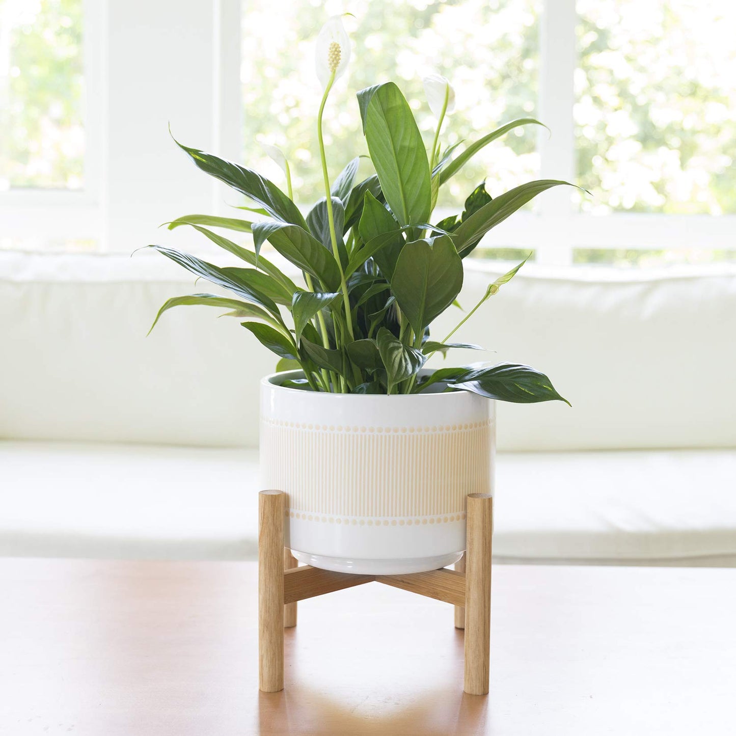 LA Jolie Muse Ceramic Planter with Wood Stand - 8 Inch Boho Dot-Line Pattern Cylinder Flower Plant Pot for Indoor, Yellow Beige & Bright White