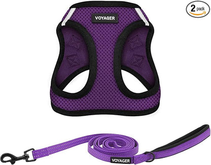 Best Pet Supplies Voyager Step-in Air All Weather Mesh Harness and Reflective Dog 5ft Leash Combo with Neoprene Handle, for Small, Medium and Large Breed Puppies - Purple/Black Trim, XX-Small