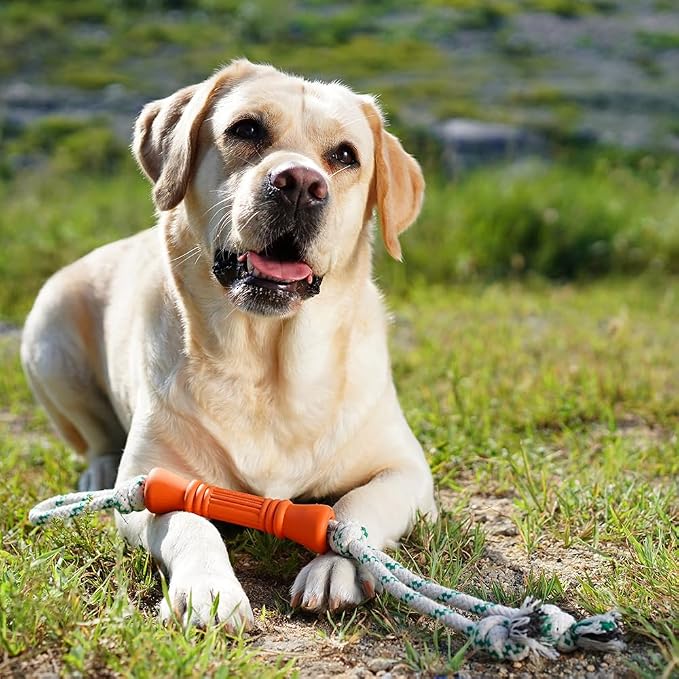 Green Sheep Tug & Enrichment Dog Toy, Interactive Rope Bone Toy with Removable Cotton Rope, Treat Dispensing Natural Rubber Dental Chew Toy for Medium and Large Dogs, Orange