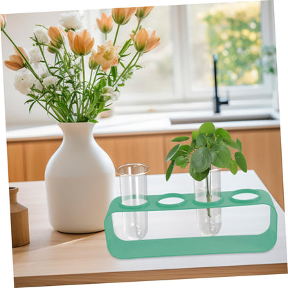 Garneck 4pcs Glass Plant Test Tube Vase Small Vases for Hydroponic Flowers Terrarium Desk Decor