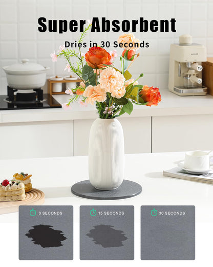 TBEECOZY Diatomaceous Earth Plant Saucer Instant Dry, 2 Pack 10 inch Super Absorbent Plant Trays for Pots, Plant Water Catcher Tray, Plant Drip & Drainage Tray for Indoor, Gray