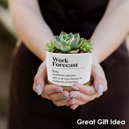 ROXMART Work Forecast Funny Plant Pots, Office Humor Gifts Succulent Planters, Funny Sarcastic Gifts for Coworkers Ceramic Plant Flower Pots for Home Office Desk Table Shelf(No Plants)