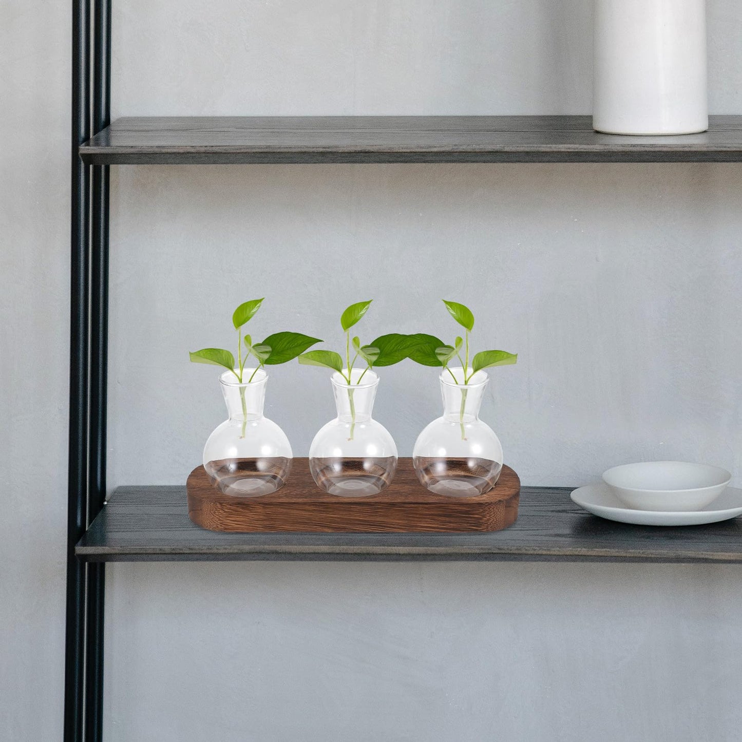 LALAFINA Glass Hyacinth Vase with Wooden Base, Hydroponic Table Glass Flower Container for Office and Living Room Decoration, 3pcs Set Terrarium for Indoor Plants