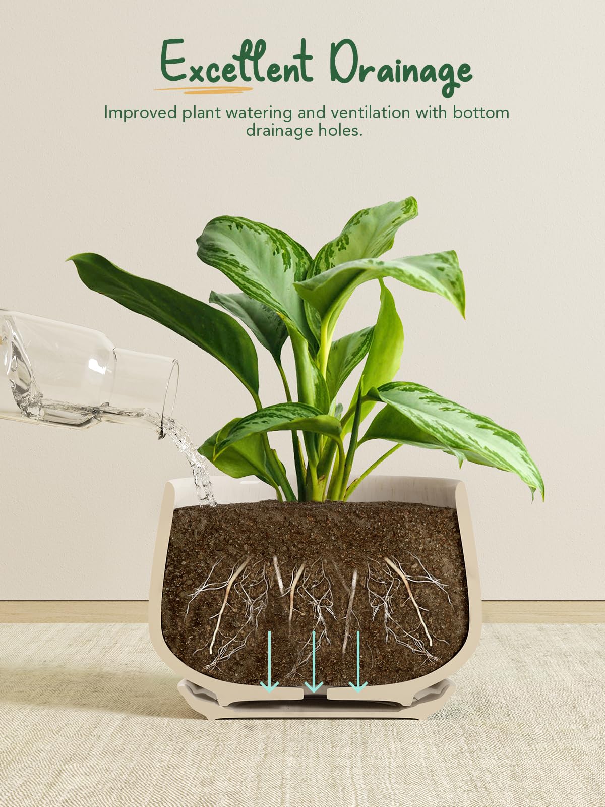 LE TAUCI Ceramic Planter with Coconut Fiber Drainage Mesh Pad, Keeps Soil in Place and Improves Drainage for Indoor Plants