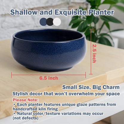 Leap Fit Ceramic Lotus Bowl Planter for Indoor - 6.5 Inch Flower Pot for Women Bonsai Water Plants Lover - Shallow Planter for Office Desk Home Decor Gift