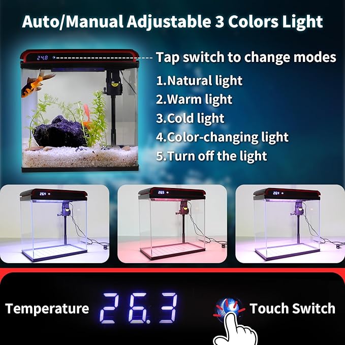 5 Gallon Fish Tank, Betta Fish Tank Small Aquarium Starter Kits Self Cleaning with 3 Types of LED Lights and Filter Water Pump, Ultra Quiet Decoration Kids Room Gift with Glass Aquarium