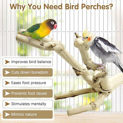 kathson Bird Perch Stand 10"-12" Nature Wood Stand Toy Parrot Cage Branch Paw Grinding Fork Parakeet Platform for Parakeets Cockatiels Conures Finches Love Birds（Small）