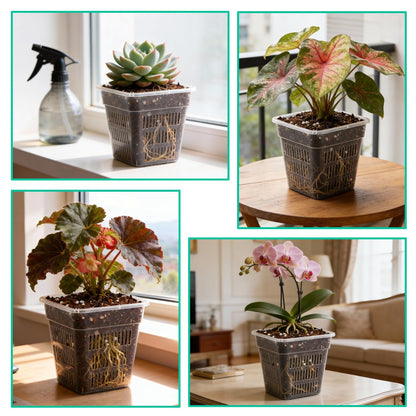 BTPLASTIK Clear Square Nursery Pots, 15 Packs 6 Inch Hydroponics Growing Square Pots, Transparent Plastic Plant Pots for Seed Starting, Root Cutting