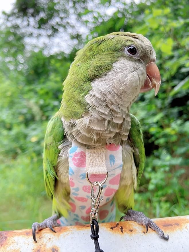 Bird Diaper Harness Flight Suit Clothes, Parrot Flight Suit with Leash, Bird Flying Clothes with Rope and Handle for Outdoor Activities Training (Pink with Leash,Medium)