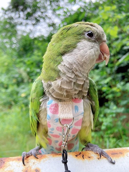 Bird Diaper Harness Flight Suit Clothes, Parrot Flight Suit with Leash, Bird Flying Clothes with Rope and Handle for Outdoor Activities Training (Pink with Leash,Medium)